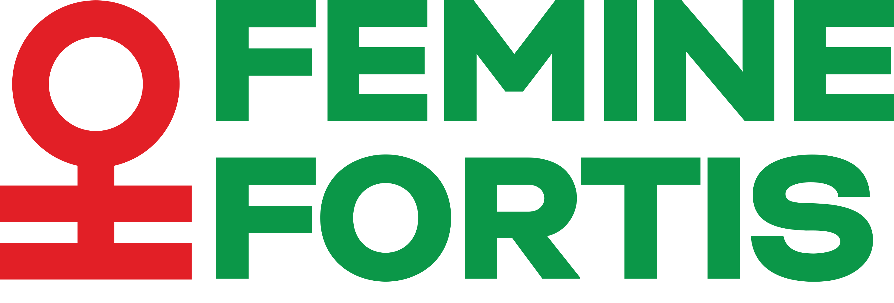 feminefortis.org